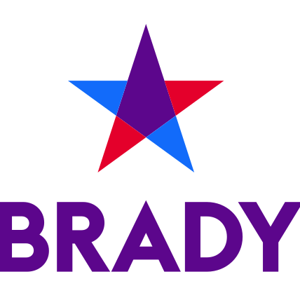 Visual of the Brady Campaign Logo